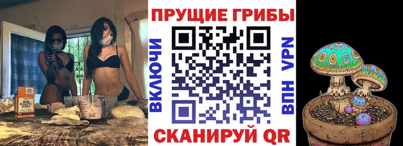 Галлюциногенные грибы мухоморы  купить   Елизаветинская 